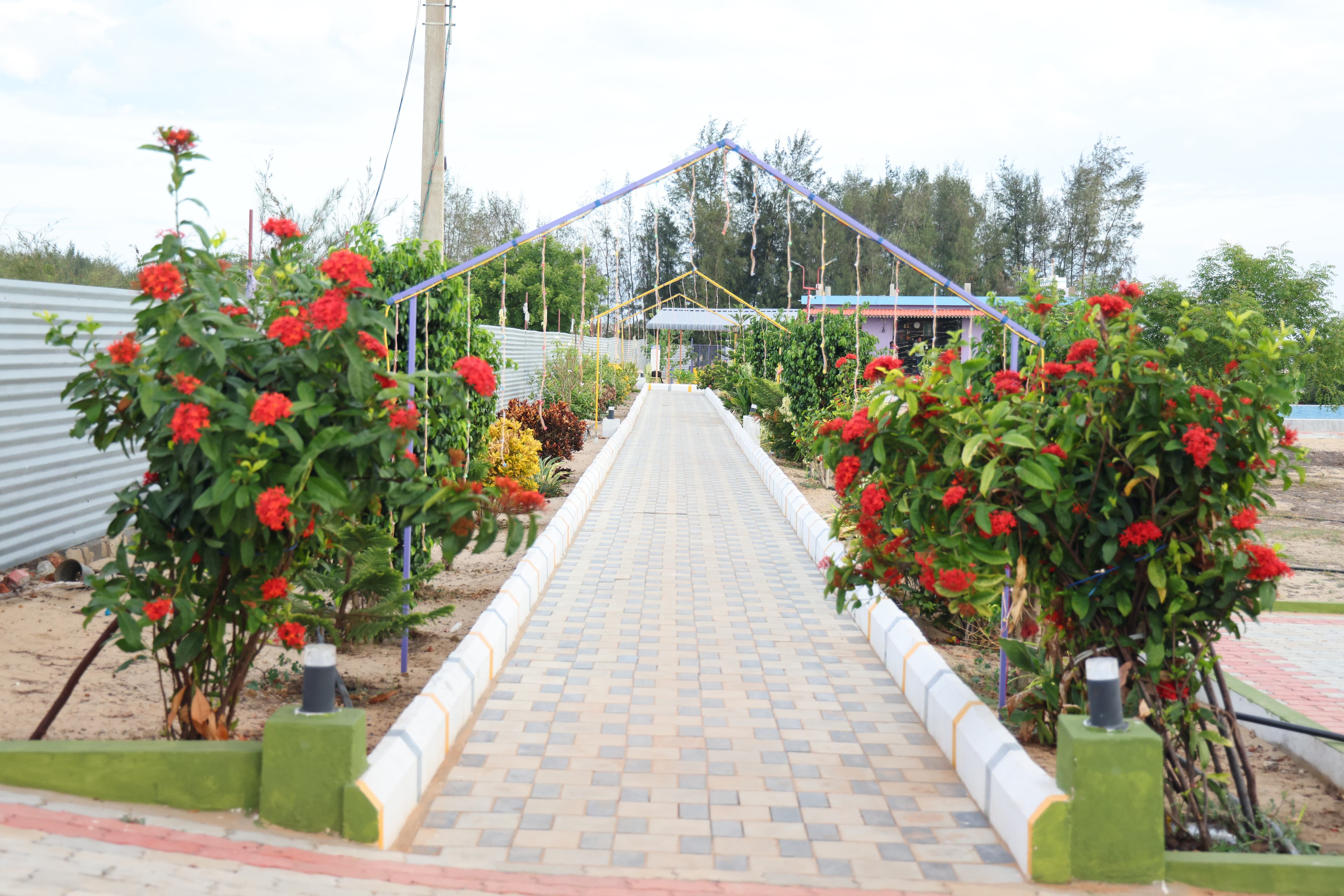 Flower-lined walkway at the resort